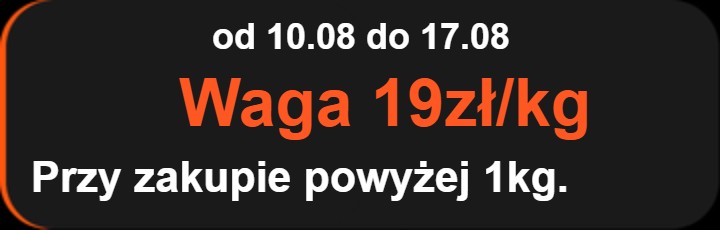 Aktualna promocja